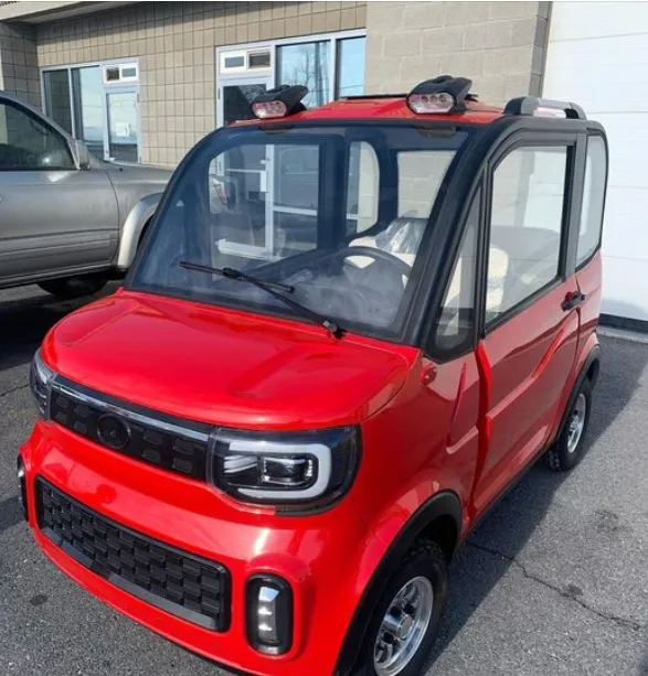 2-Seat Electric Outdoor Scooter