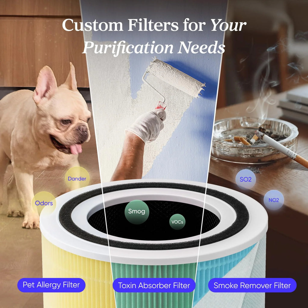 Air Purifier for Home, Compact Air Cleaner for Allergens, Dust, Pet Hair and Pet Dander